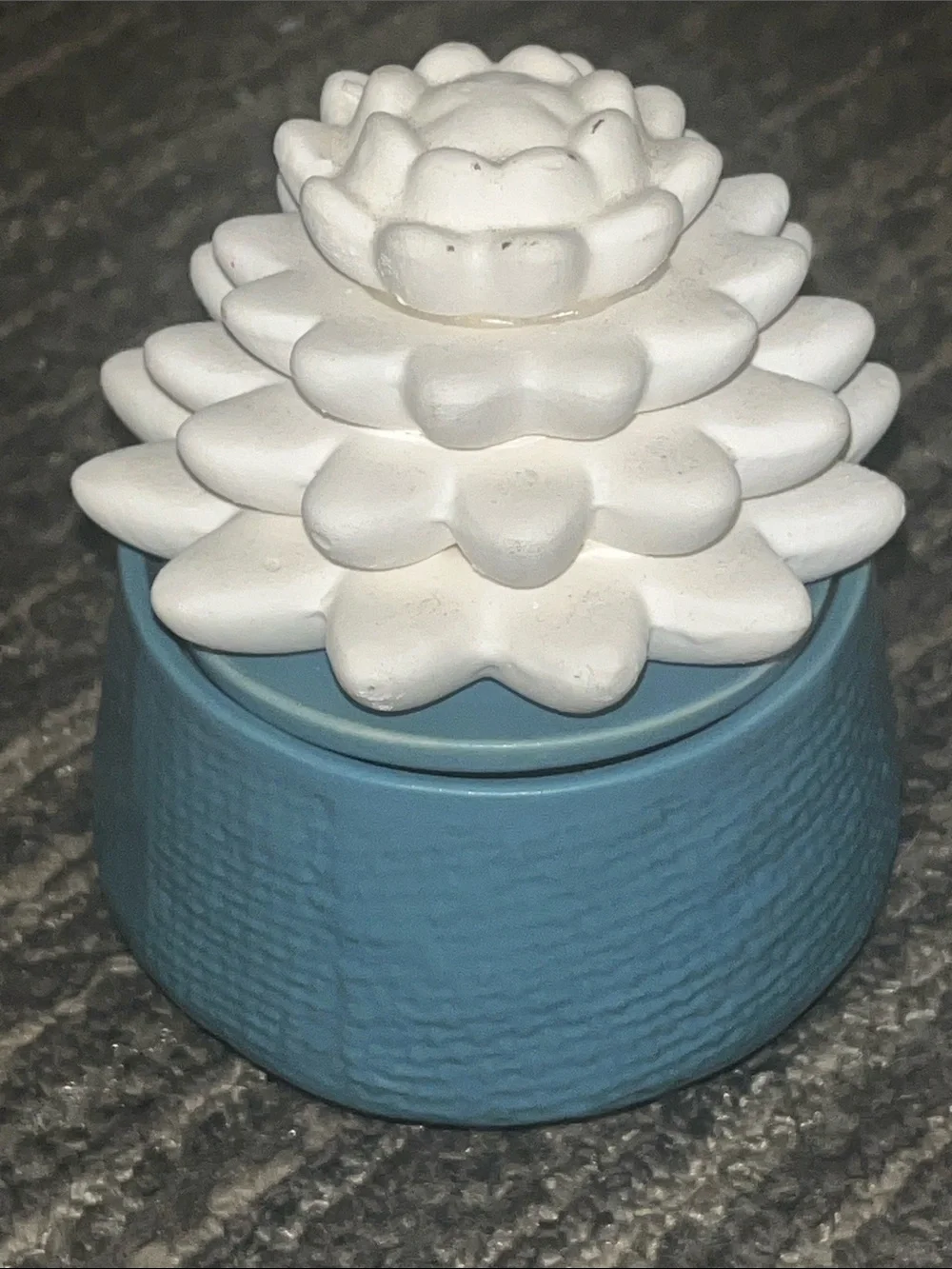 Airome’ porcelain succulent passive oil diffuser set of 2
